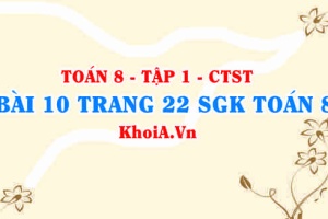 Bài 10 trang 22 SGK Toán 8 Tập 1 Chân trời sáng tạo
